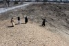 Construction under way on Gary homeless housing project