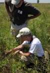 Scientists, students converge on Newton County for bioblitz