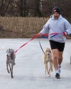 Valpo's Jeff Coggins running Chicago Marathon for American Greyhound charity
