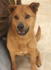 Roxie