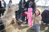 Feeding time at Sunset Hill Farm County Park