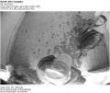 Police seek help in finding suspect in attempted theft