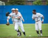 Mount Carmel baseball team wins Class 4A Reavis Sectional title