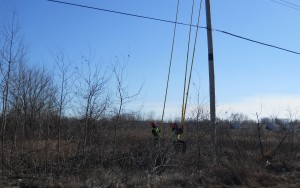 Crash in Winfield cuts power to Jerry Ross Elementary School