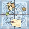 The Secret Box