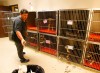 Humane Society runs out of space, looks for good homes for more than 100 pets