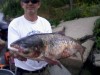 0624CALCARP.jpg