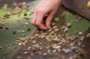 Students bone up on local archeology