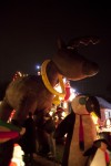 Hammond Christmas display brings light to season