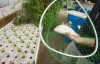 Matthew's Nursery Aquaponics