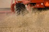 Reaping what was sown