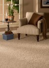 Carpet Flooring