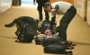 Portage police make surprise sweep of portage high school with canine units