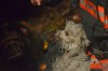 Four dogs escaped home fire in Calumet Township