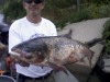 Lawmakers eyes separation study in fish fight