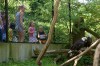 Bald eagles illustrate American success story