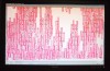 Local programmer places in top 20 in impossible-sounding paper-shredding contest