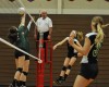 Illiana Christian's Jaime Petrarcac spikes against Queen of Peace.