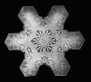 Exhibit at South Shore Arts examines the beauty of snowflakes