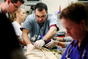 Prognosis: Doctor shortage in the region  