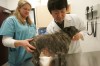 Munster Animal Hospital