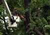 Crews scramble to restore power after severe storms