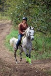 Illiana golfer Lauren Drew also raises horses