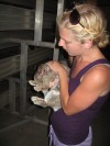 74 rabbits taken from alleged hoarder house