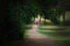At Home: Making a tough call for aging parents
