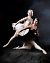"Swan Lake" Presented by Indiana Ballet Theatre