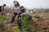 Interns help strengthen Dunes