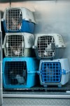 Dozens of animals removed from mobile home