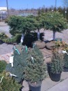 Alsip Home & Nursery