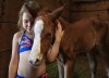 Rescued horse delivers healthy filly