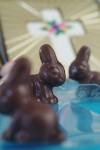 Bunnies