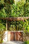 A strong reminder: Late summer is the time to plant garlic 
