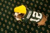 Cheesehead heaven