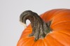 The great pumpkin rises again