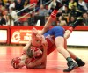 'Dog gone: Crown Point loses in team wrestling state finals