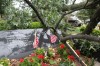 Central Park War Memorial damaged by storm