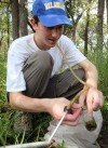 Scientists, students converge on Newton County for bioblitz