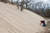 Limiting access to Mount Baldy might save plants