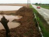 Heavy rains, but region escapes severe flooding
