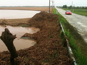 Heavy rains, but region escapes severe flooding