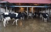 Fewer next-generation farmers grab the reins
