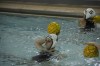 032213-spt-GWP_WIESER.jpg