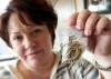 Reaction mixed on Hammond cash for gold proposal
