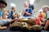 Cold-blooded creatures crawl into Chesterton