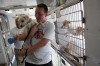 Route 66 tour promotes pet adoptions