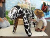 Preschoolers learn about farm life without leaving the classroom